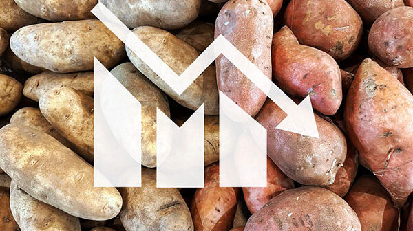 Stats NZ: Vege prices fall as cost of living hints at end